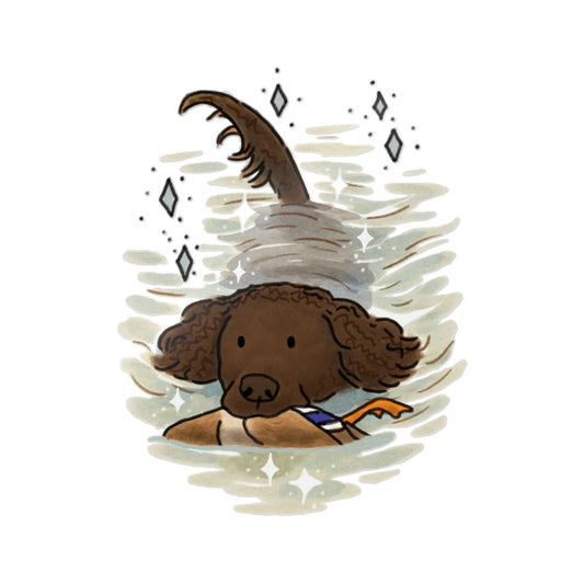 PermaDecal (indoor/outdoor) American Water Spaniel
