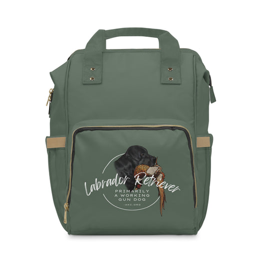 Multifunctional Ringside/Event Bag