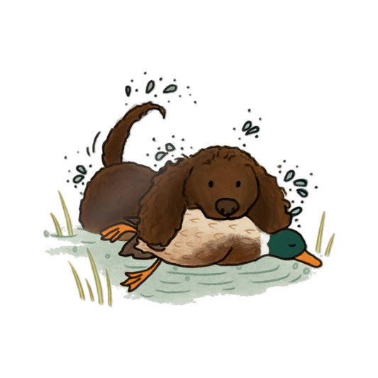 PermaDecal (indoor/outdoor) American Water Spaniel