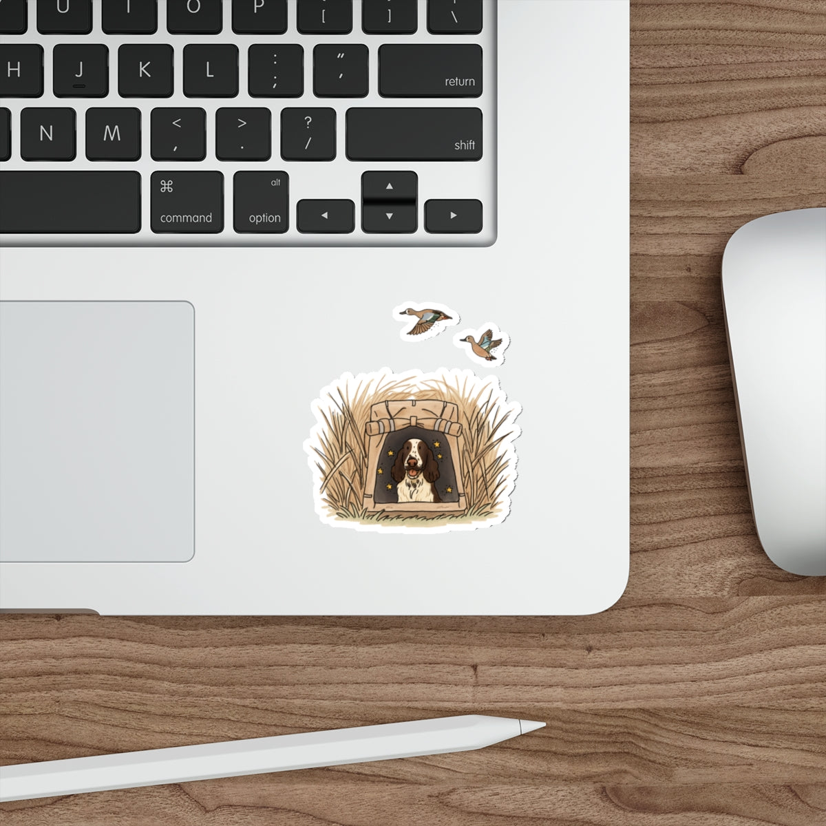 Die-Cut Sticker (indoor/outdoor)