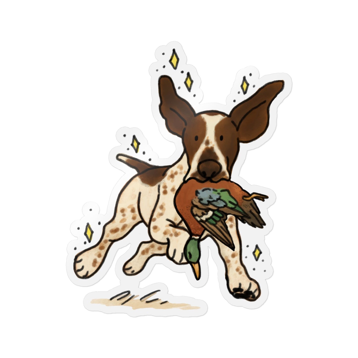 PermaDecal (indoor/outdoor) Bracco Italiano