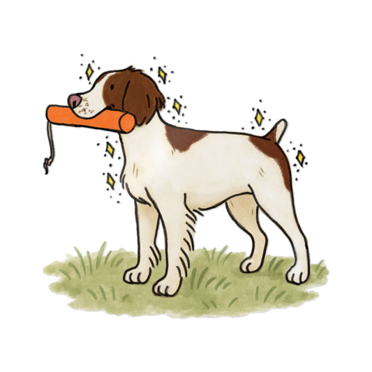 PermaDecal (indoor/outdoor) Brittany