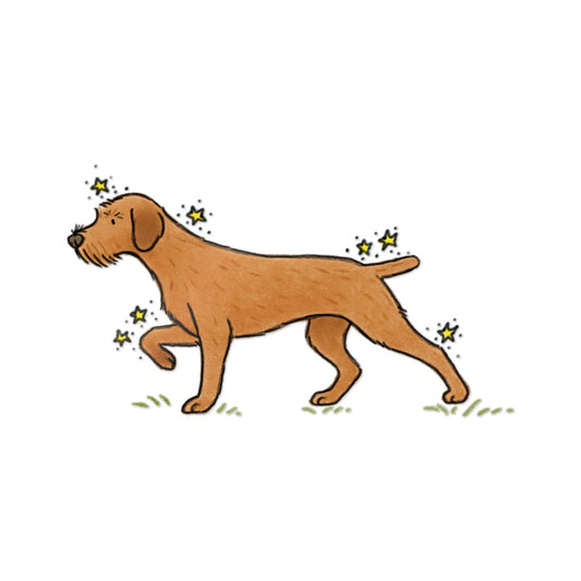 PermaDecal (indoor/outdoor) Hungarian Wire-Haired Vizsla