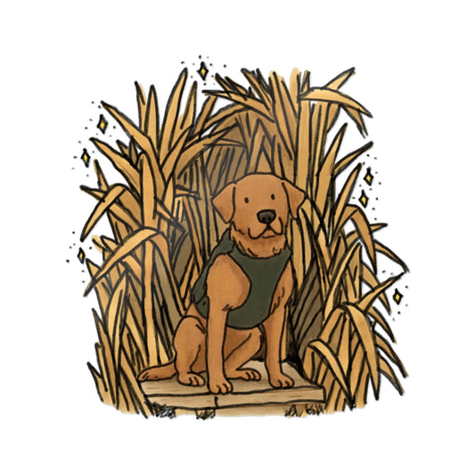 PermaDecal (indoor/outdoor)