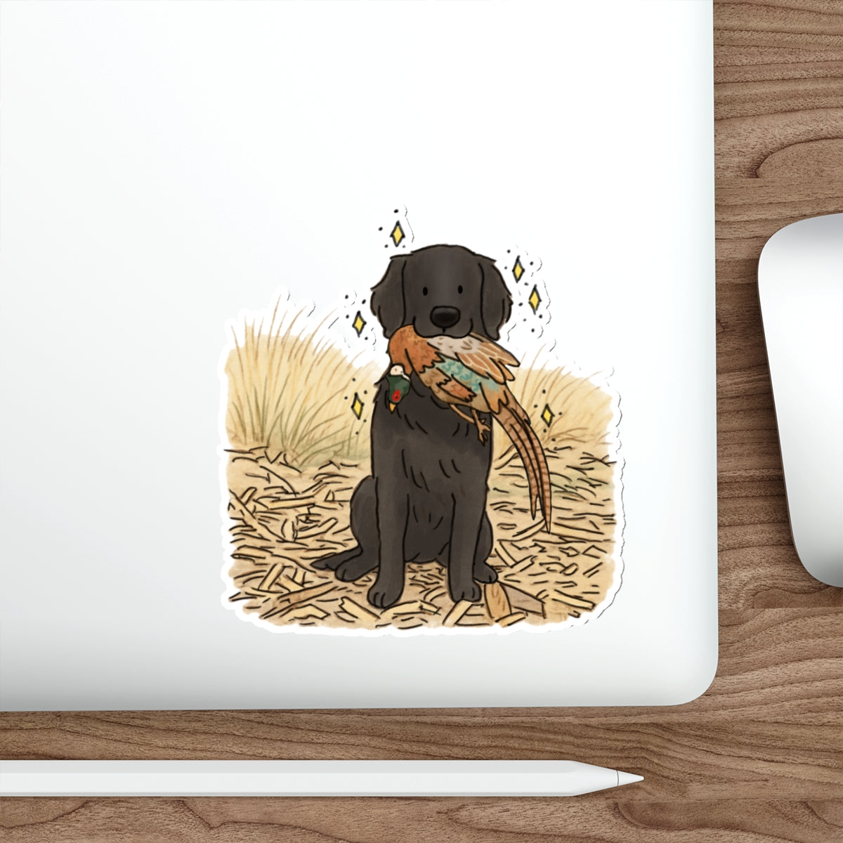 Die-Cut Sticker (indoor/outdoor)