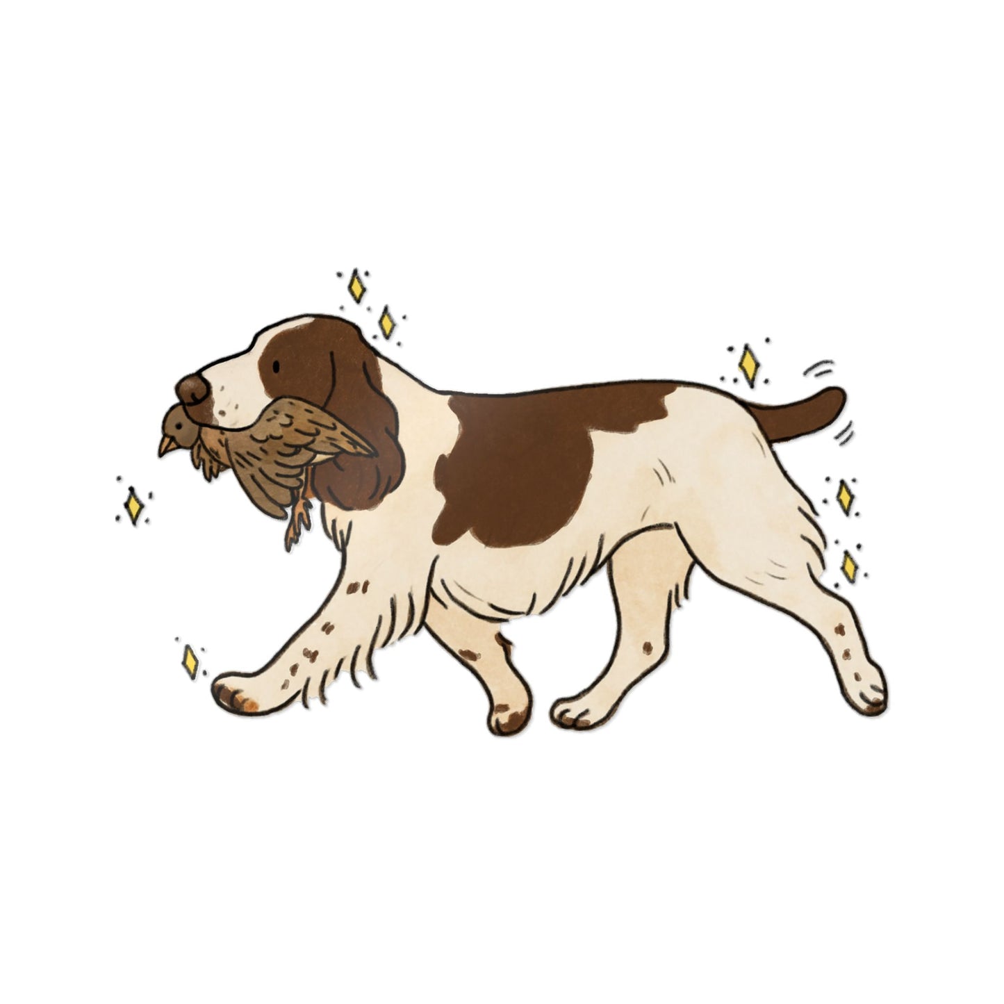 PermaDecal (indoor/outdoor) Field Spaniel