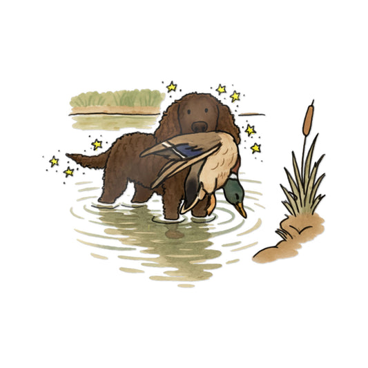 PermaDecal (indoor/outdoor) American Water Spaniel