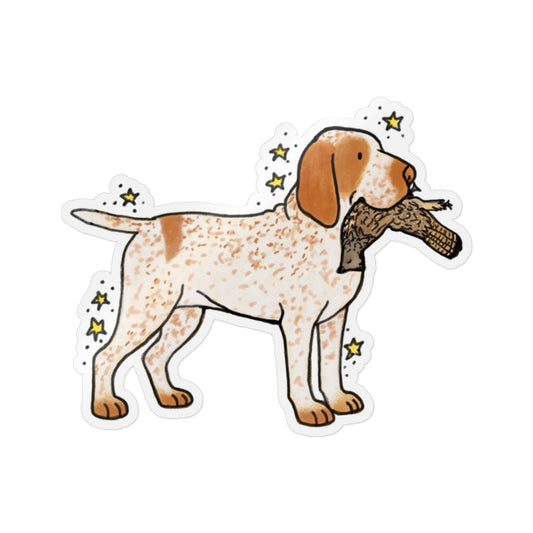PermaDecal (indoor/outdoor) Bracco Italiano