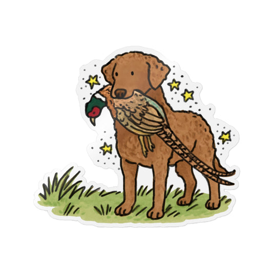 PermaDecal (Indoor/Outdoor)