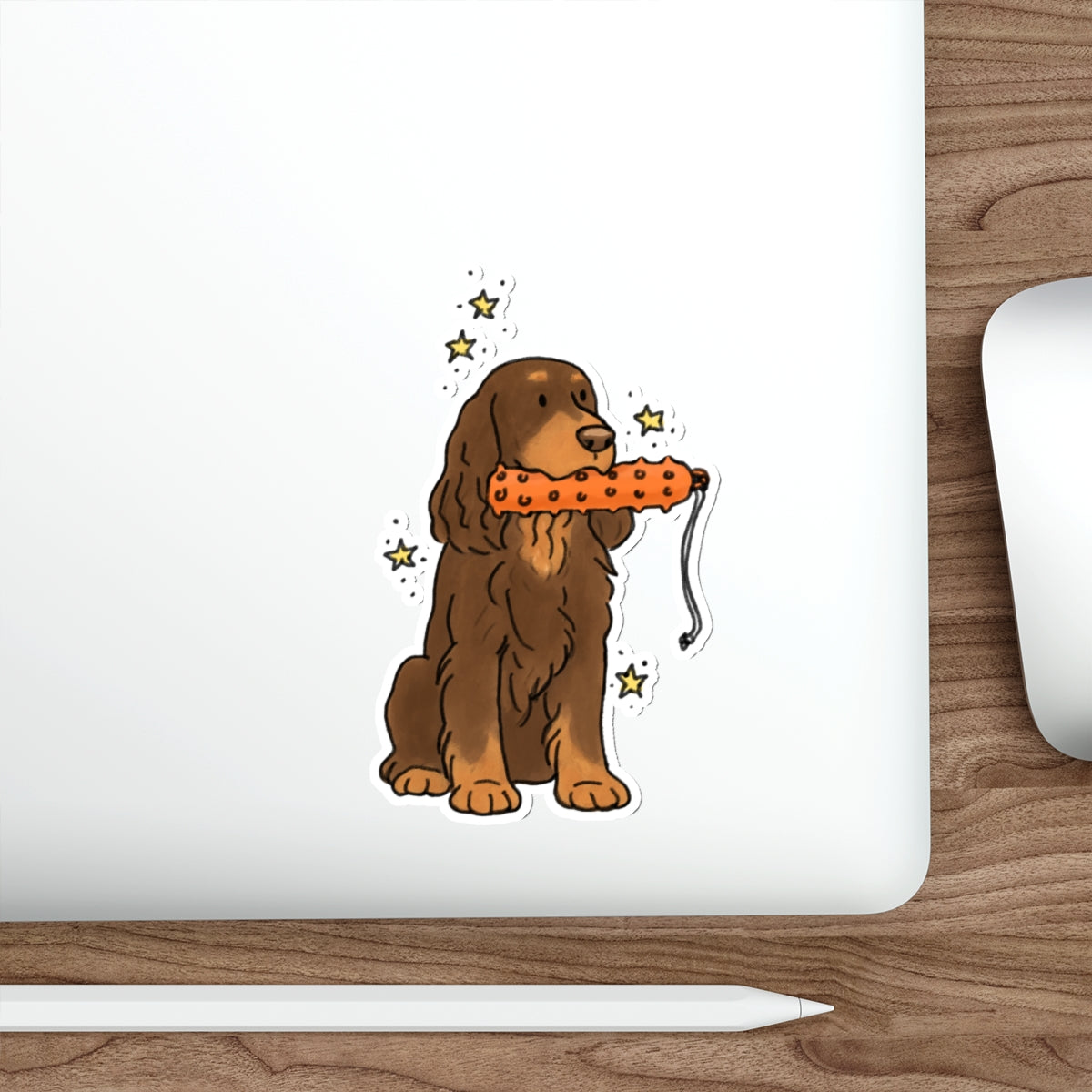 Die-Cut Sticker (indoor/outdoor)