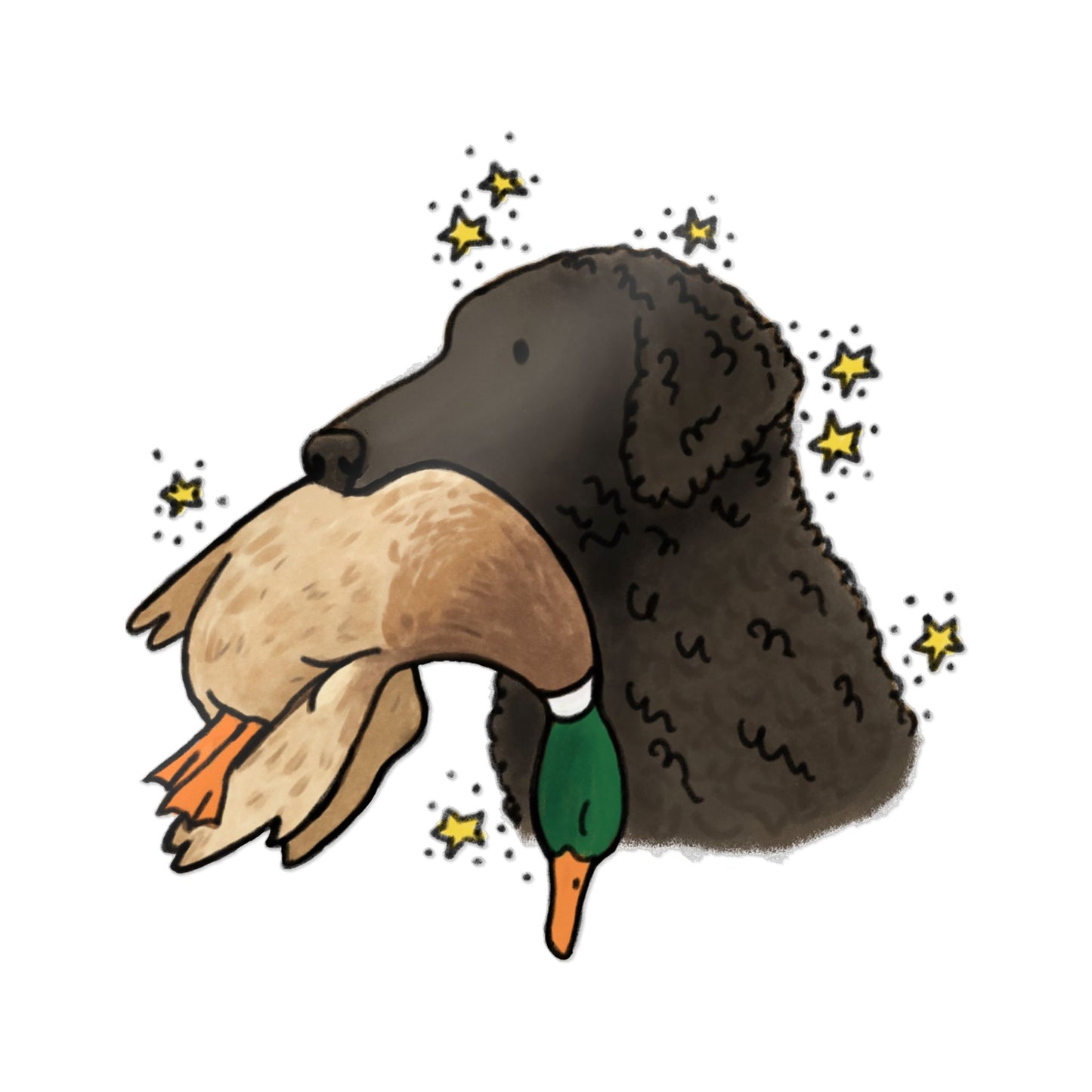 PermaDecal (indoor/outdoor) Curly-Coated Retriever