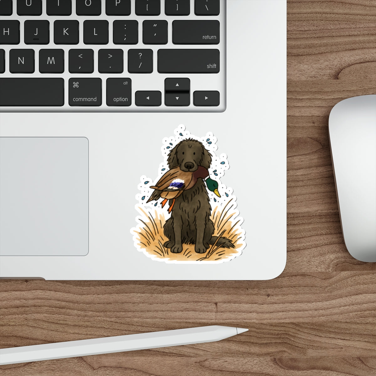 Die-Cut Sticker (indoor/outdoor)