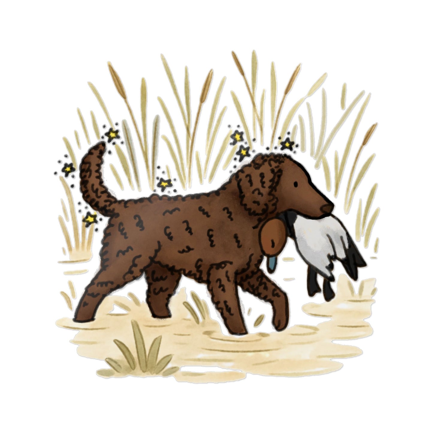 PermaDecal (indoor/outdoor) Curly-Coated Retriever