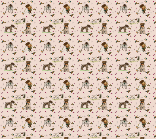 German Wire-Haired Pointer