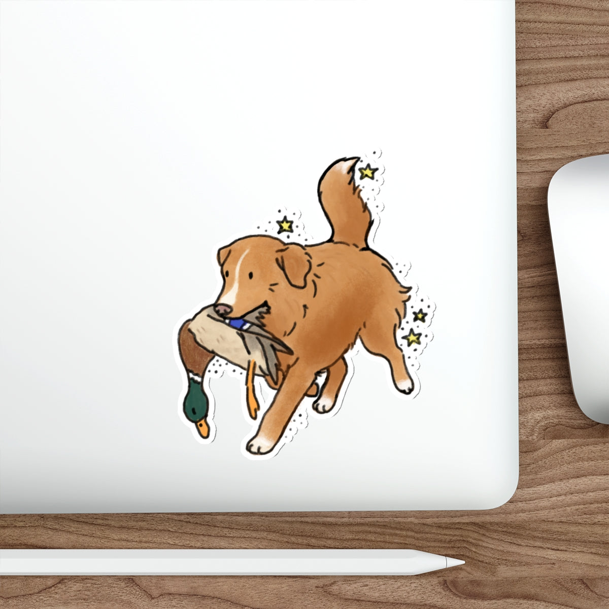 Die-Cut Sticker (indoor/outdoor)
