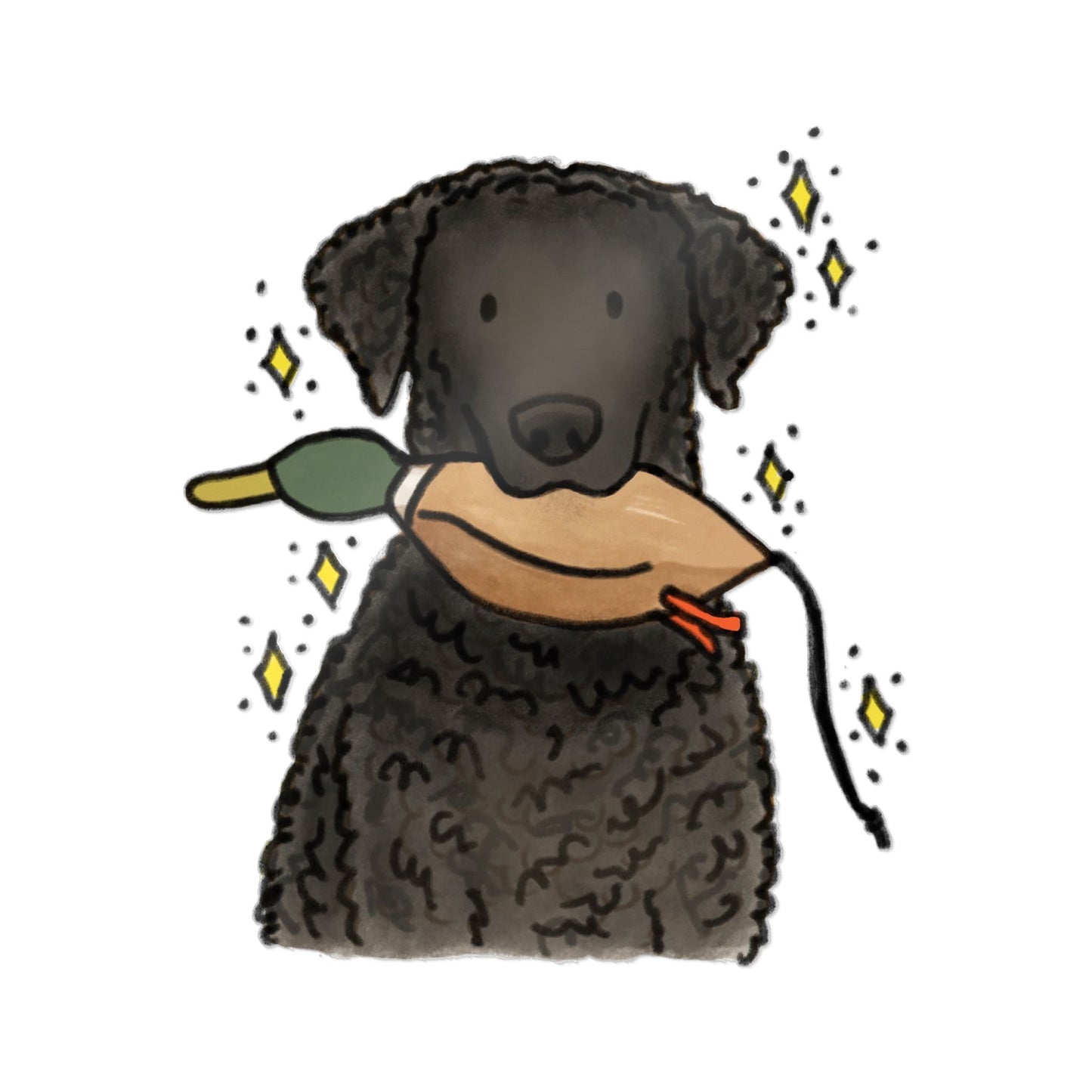PermaDecal (indoor/outdoor) Curly-Coated Retriever