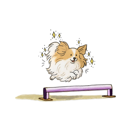 PermaDecal (indoor/outdoor) Papillon Agility