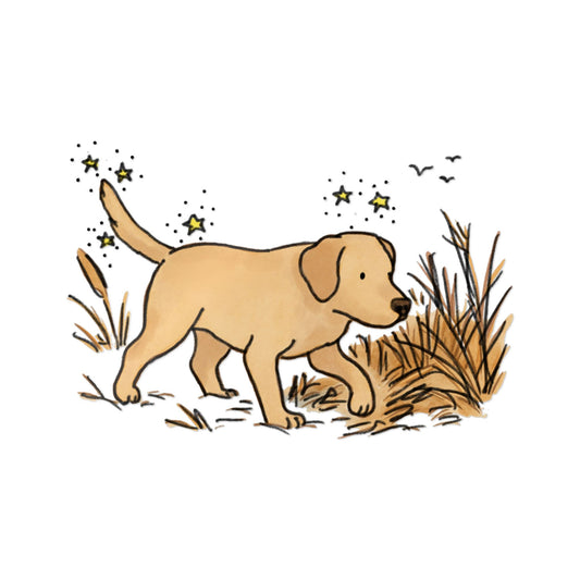 PermaDecal (indoor/outdoor)