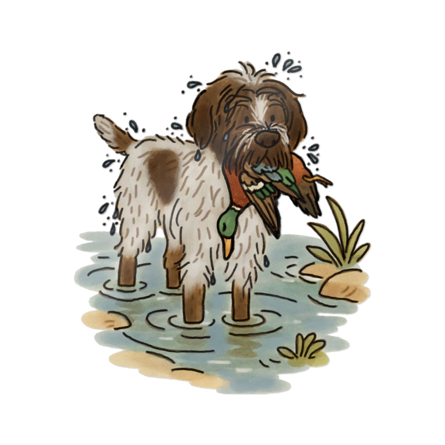 PermaDecal (indoor/outdoor) Wirehaired Pointing Griffon