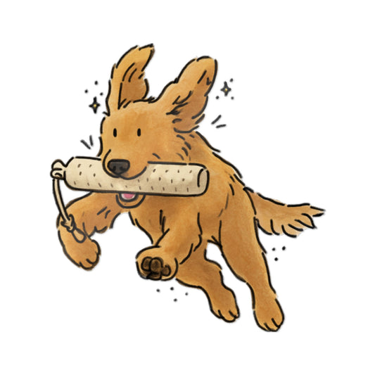 PermaDecal (indoor/outdoor)