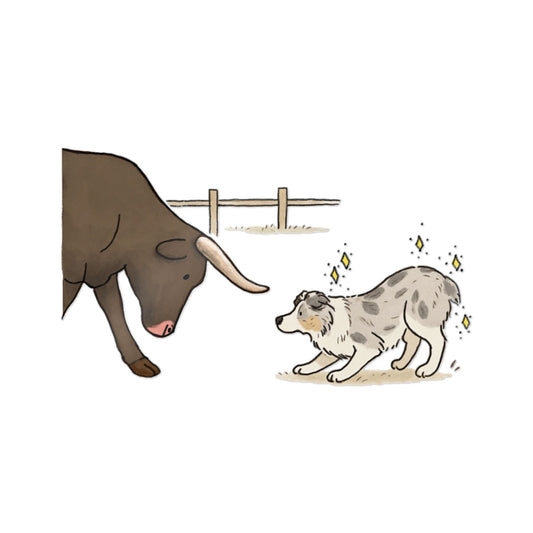 PermaDecal (indoor/outdoor)