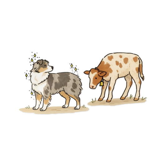 PermaDecal (indoor/outdoor)