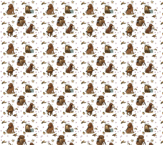 Chocolate Labrador Retriever