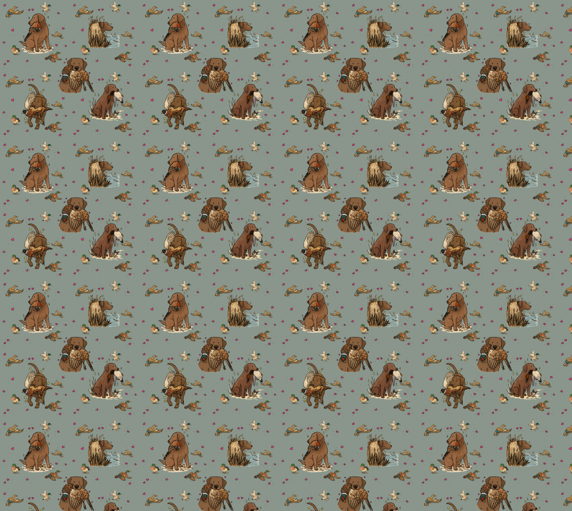 Chocolate Labrador Retriever