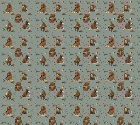 Chocolate Labrador Retriever