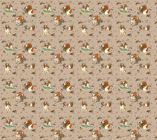 Welsh Springer Spaniel