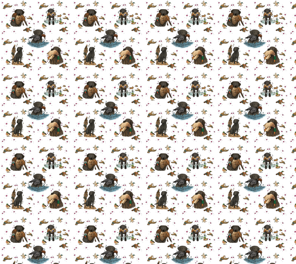 Black Labrador Retriever