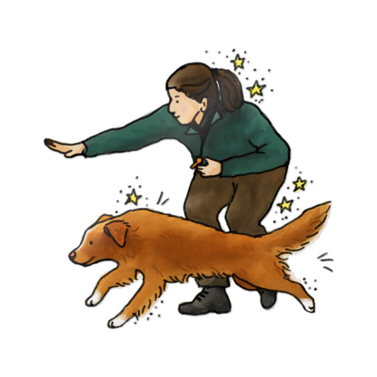 PermaDecal (indoor/outdoor) Toller