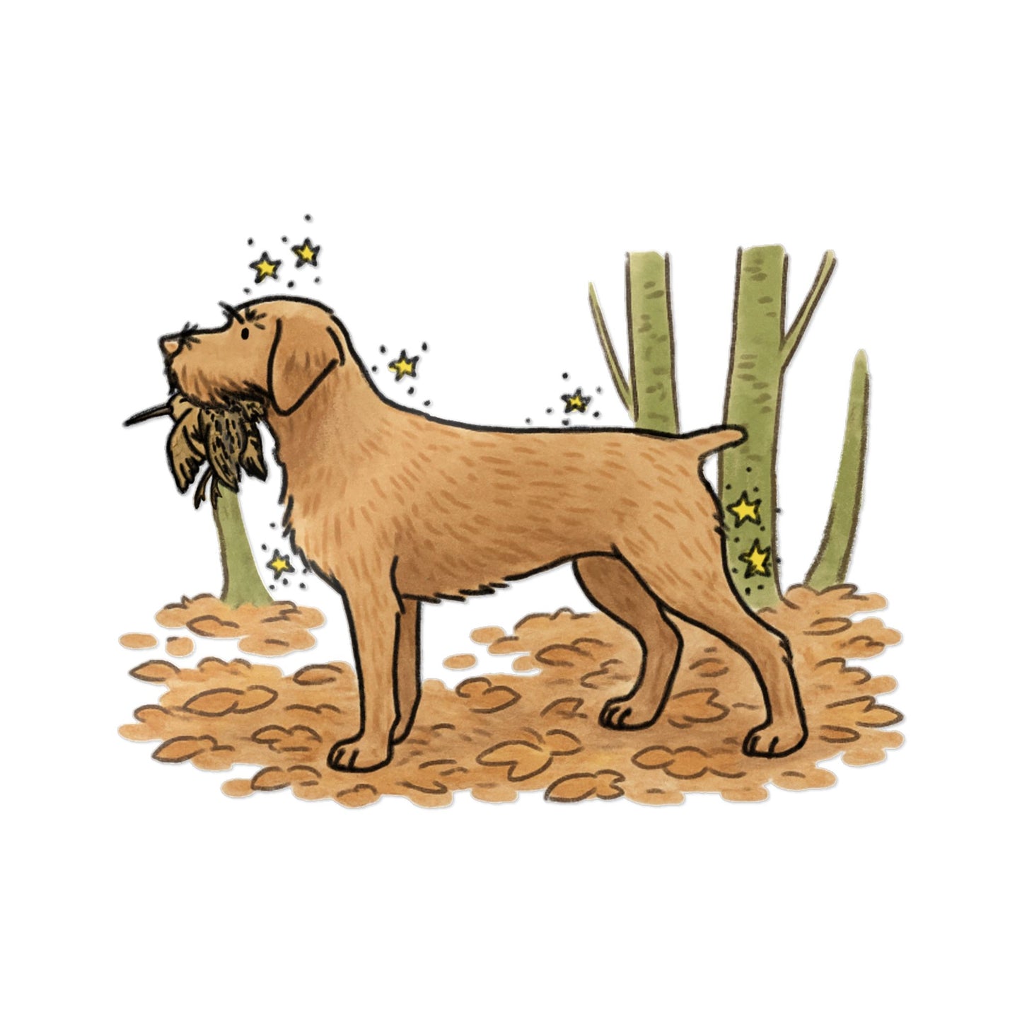 PermaDecal (indoor/outdoor) Hungarian Wire-Haired Vizsla