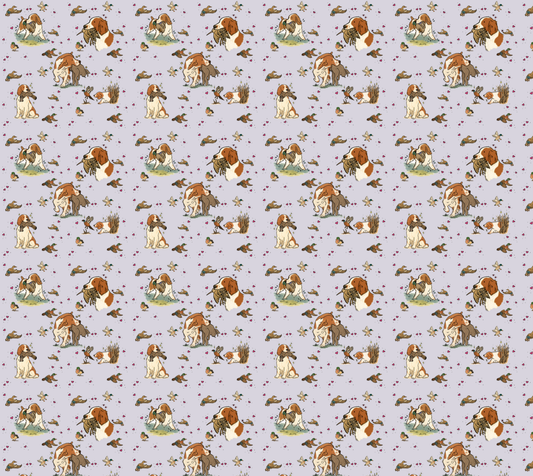 Welsh Springer Spaniel