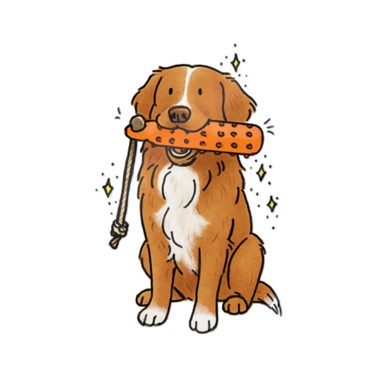PermaDecal (indoor/outdoor) Toller