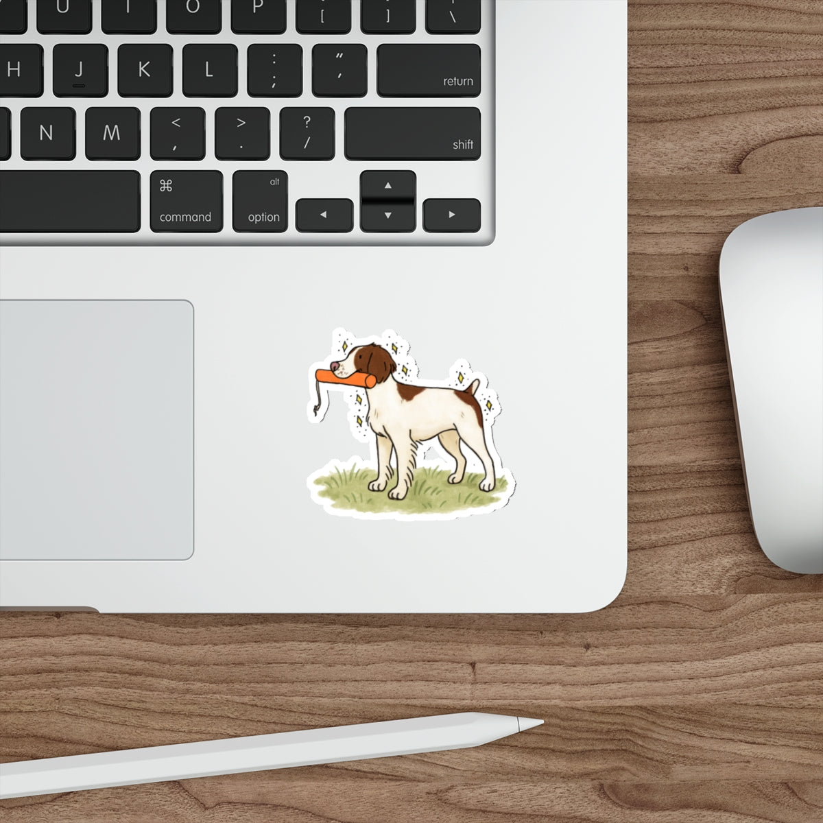 Die-Cut Sticker (indoor/outdoor)