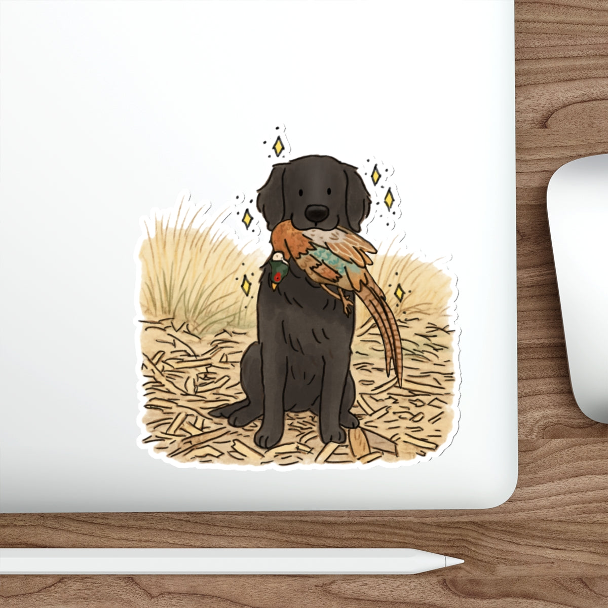 Die-Cut Sticker (indoor/outdoor)