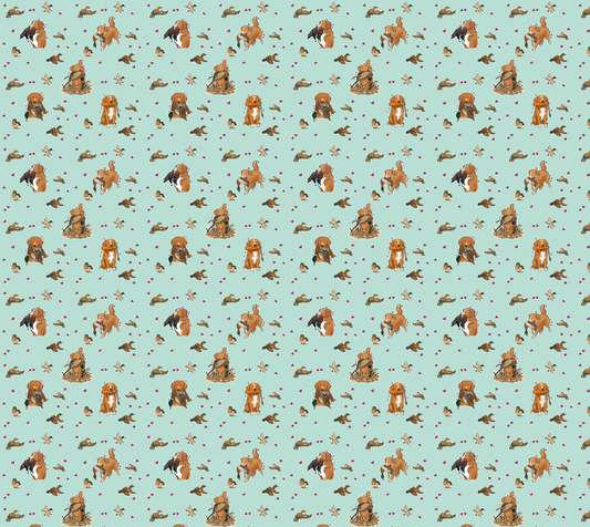 Nova Scotia Duck Tolling Retriever