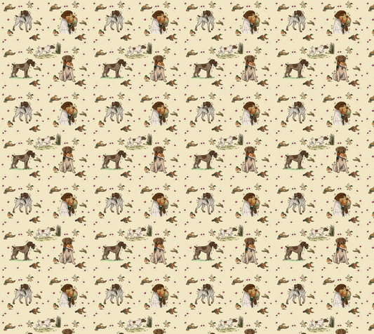 German Wire-Haired Pointer