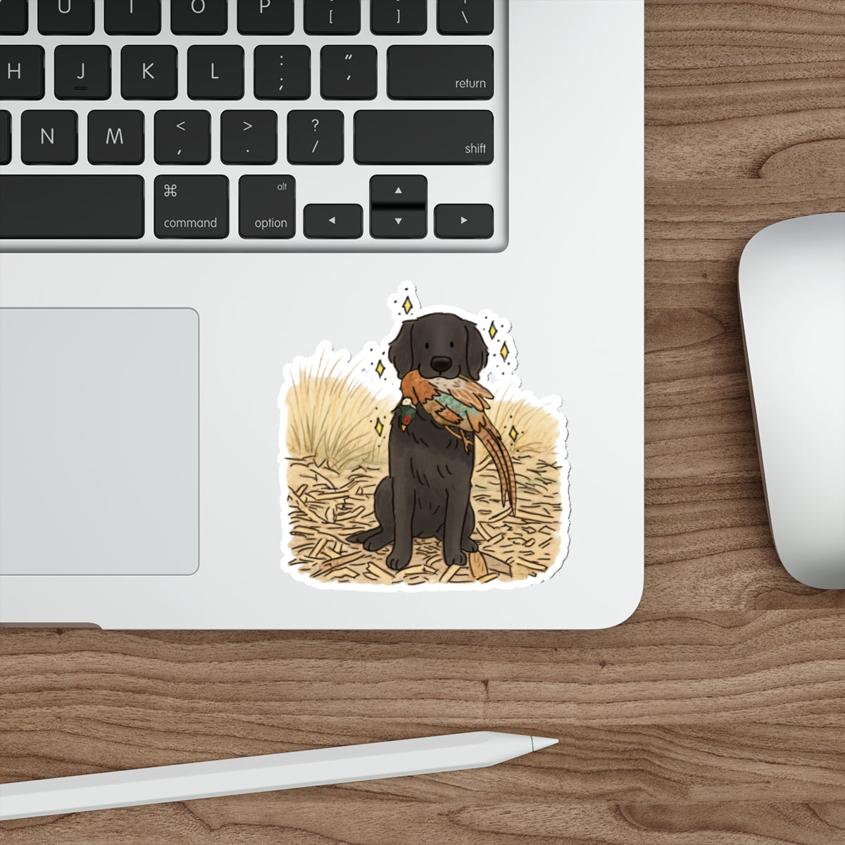 Die-Cut Sticker (indoor/outdoor)