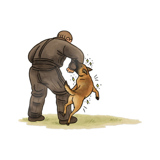 PermaDecal (indoor/outdoor) Bite-Work Belgian Malinois