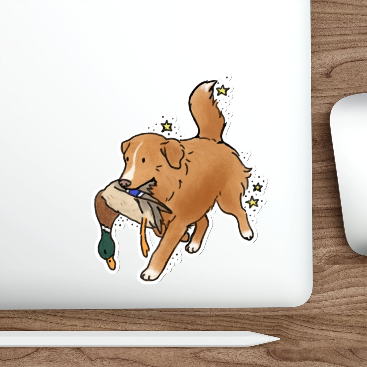 Die-Cut Sticker (indoor/outdoor)
