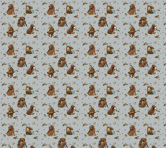 Chocolate Labrador Retriever