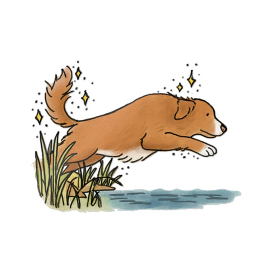 PermaDecal (indoor/outdoor) Toller