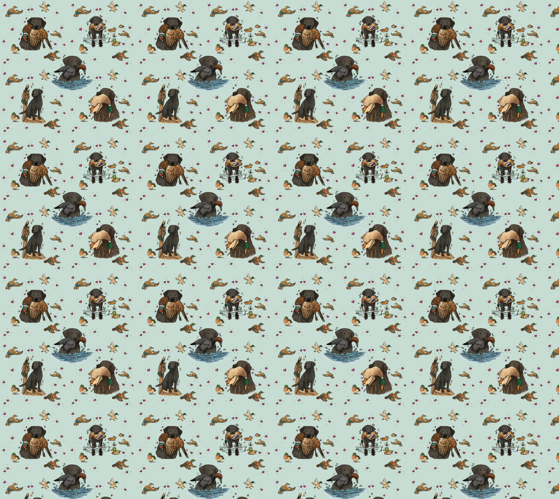 Black Labrador Retriever