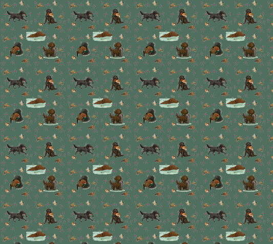 Flat-Coated Retriever