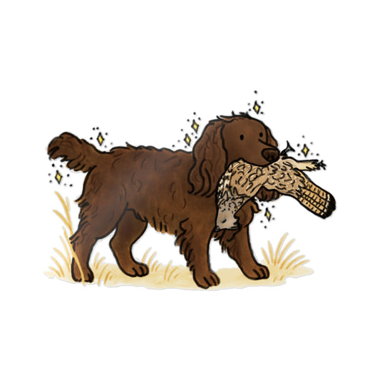 PermaDecal (indoor/outdoor) Boykin
