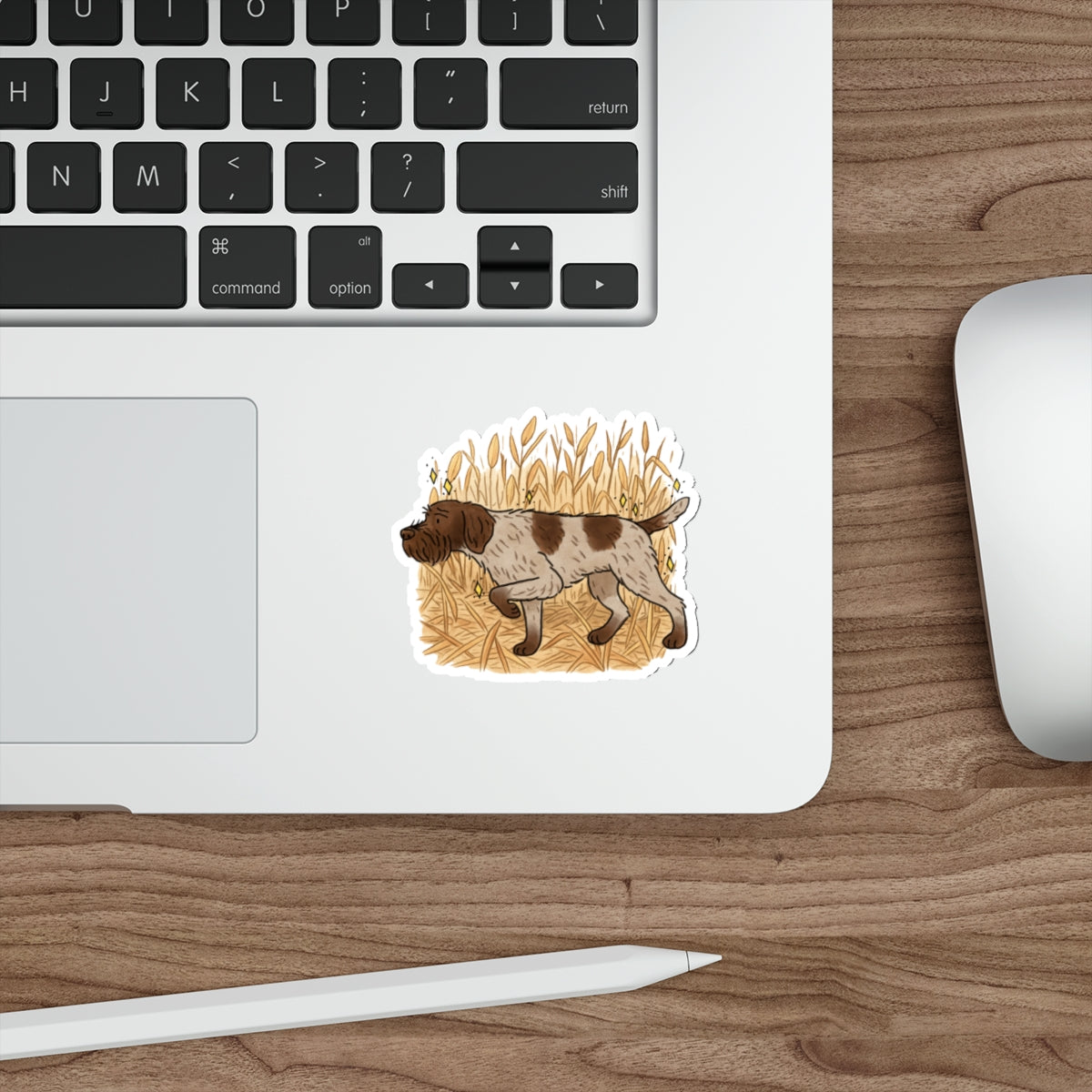 Die-Cut Sticker (indoor/outdoor)