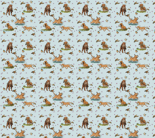 Chesapeake Bay Retriever