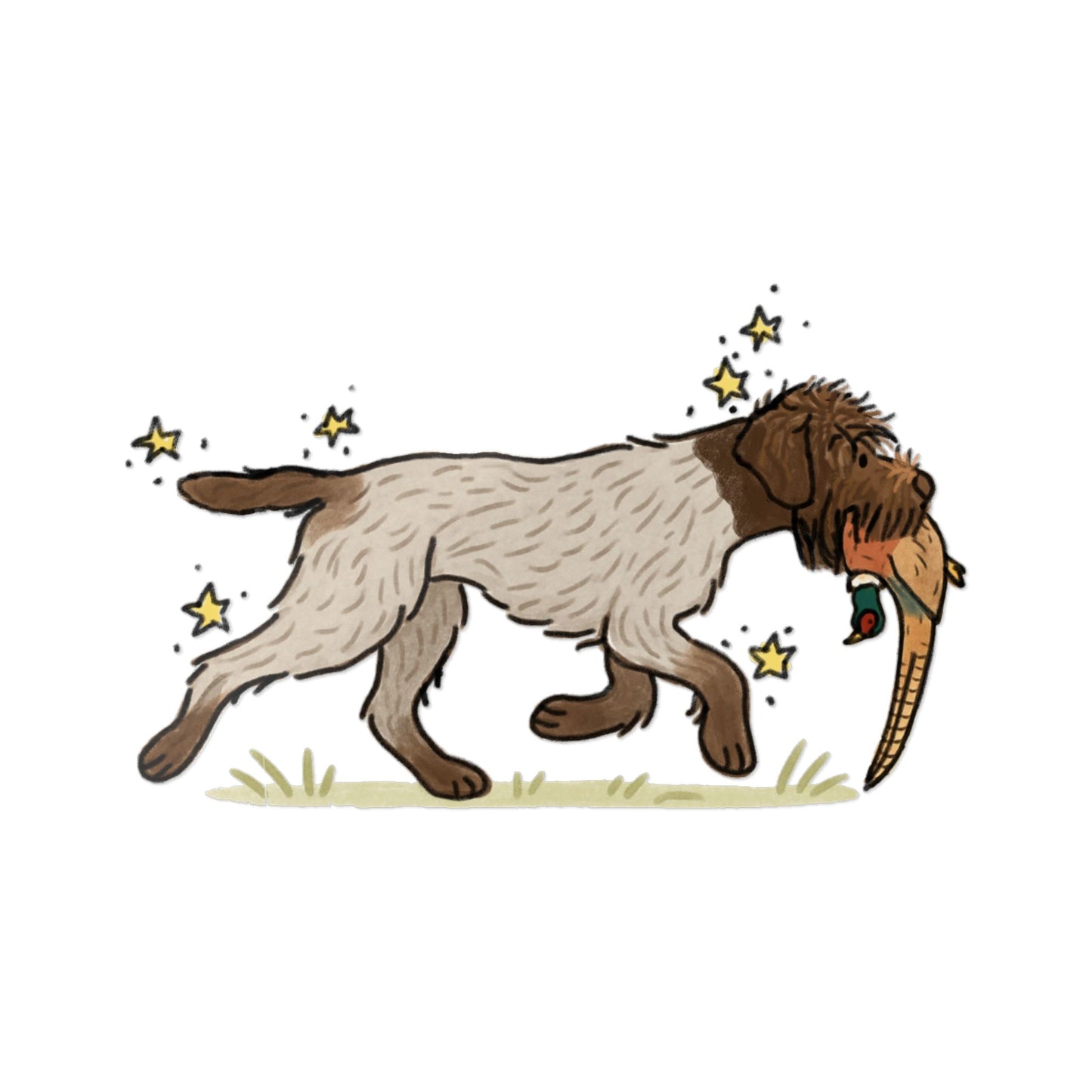 PermaDecal (indoor/outdoor) Wirehaired Pointing Griffon